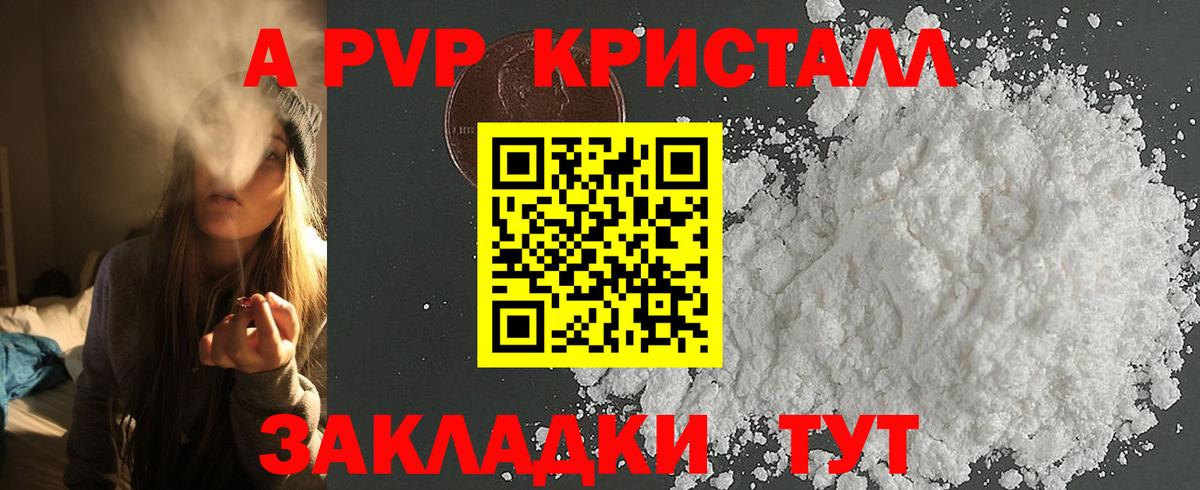 A PVP СК Архангельск
