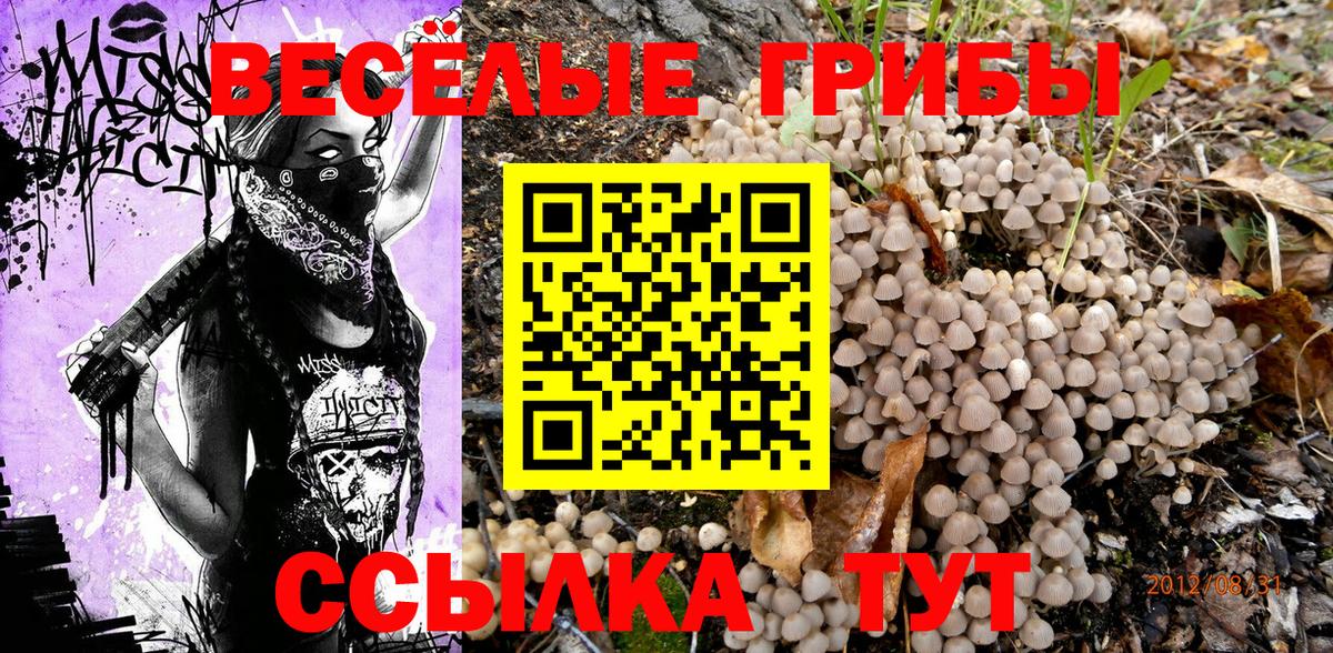 Галлюциногенные грибы Psilocybe Архангельск